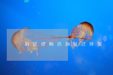 拆迁律师咨询征迁环保 拆迁律师咨询征迁环保