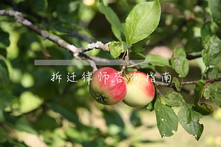 拆迁律师咨询指南 拆迁律师咨询指南