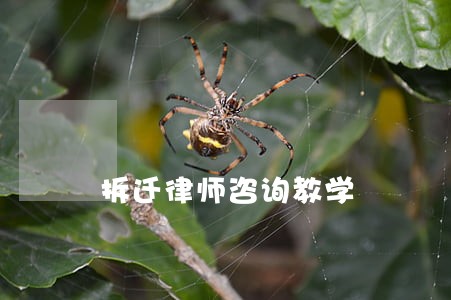 拆迁律师咨询教学 拆迁律师咨询教学