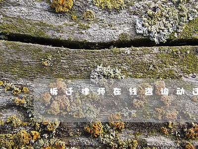 拆迁律师在线咨询动迁 拆迁律师在线咨询动迁