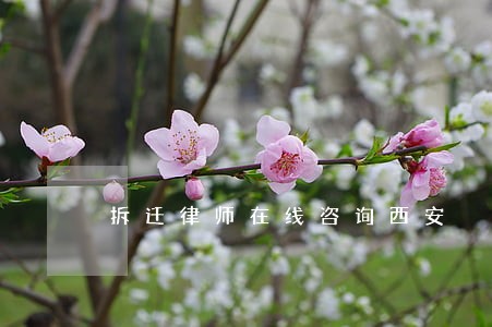 拆迁律师在线咨询西安 拆迁律师在线咨询西安
