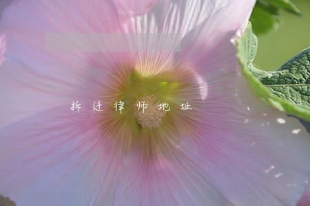 拆迁律师地址 拆迁律师地址