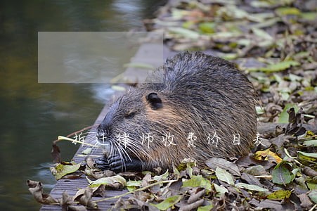 拆迁律师收费价目表 拆迁律师收费价目表