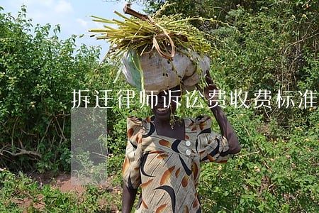 拆迁律师诉讼费收费标准