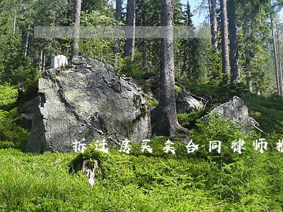 拆迁房买卖合同律师推荐