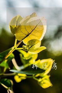 拆迁房产律师价位 拆迁房产律师价位