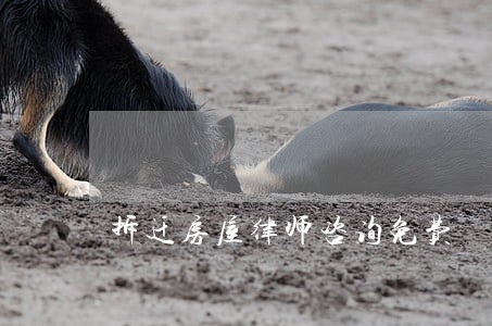 拆迁房屋律师咨询免费 拆迁房屋律师咨询免费