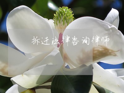 拆迁法律咨询律师 拆迁法律咨询律师
