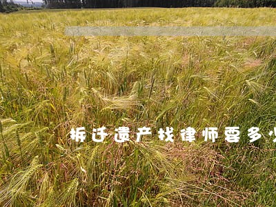 拆迁遗产找律师要多少钱 拆迁遗产找律师要多少钱