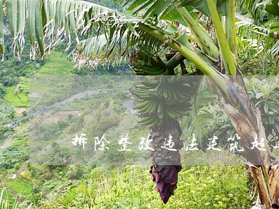拆除整改违法建筑超过1万平方米 拆除整改违法建筑超过1万平方米