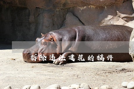 拆除违法建筑的稿件 拆除违法建筑的稿件