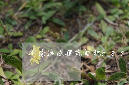 拆除违法建筑面积5895平方米 拆除违法建筑面积5895平方米