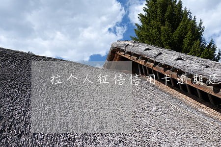 拉个人征信信用卡逾期还款影响
