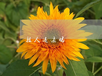 拉人违法吗 拉人违法吗