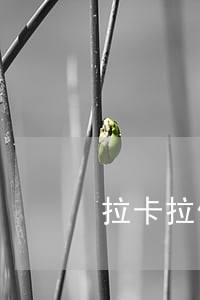 拉卡拉信用卡逾期一天会怎么样 拉卡拉信用卡逾期一天会怎么样