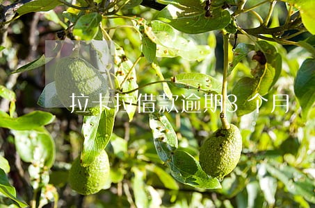 拉卡拉借款逾期3个月 拉卡拉借款逾期3个月
