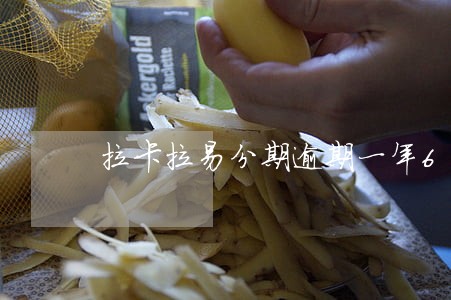 拉卡拉易分期逾期一年6 拉卡拉易分期逾期一年6