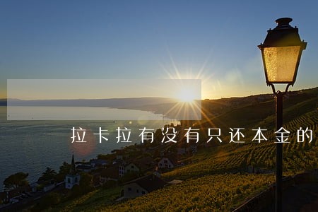 拉卡拉有没有只还本金的 拉卡拉有没有只还本金的
