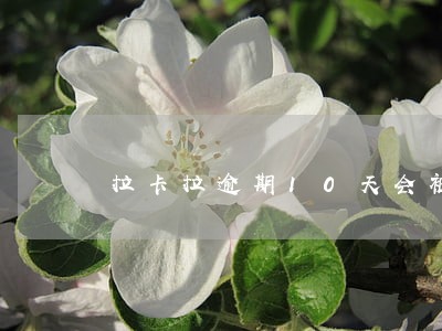 拉卡拉逾期10天会被移交吗 拉卡拉逾期10天会被移交吗