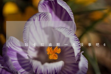 拉卡拉逾期一天没事吧6 拉卡拉逾期一天没事吧6