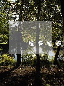 拉卡拉逾期欠款3万 拉卡拉逾期欠款3万