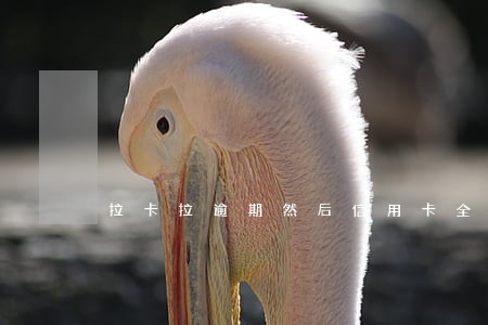 拉卡拉逾期然后信用卡全部降额 拉卡拉逾期然后信用卡全部降额