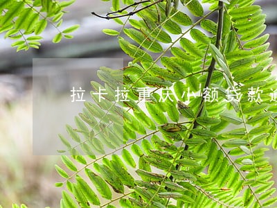 拉卡拉重庆小额贷款逾期上征信吗