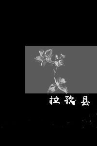 拉孜县商标在线律师