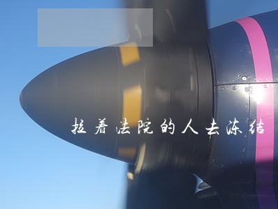拉着法院的人去冻结 拉着法院的人去冻结