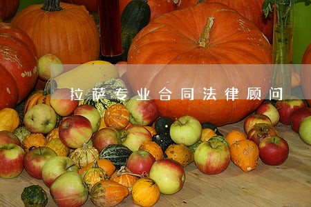 拉萨专业合同法律顾问 拉萨专业合同法律顾问