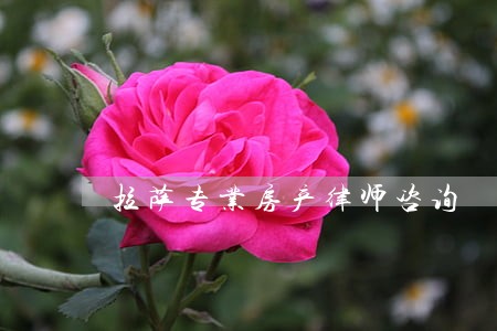 拉萨专业房产律师咨询 拉萨专业房产律师咨询