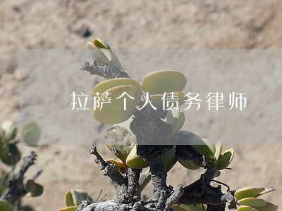 拉萨个人债务律师 拉萨个人债务律师