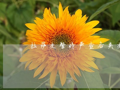拉萨交警将严查各类交通违法行为