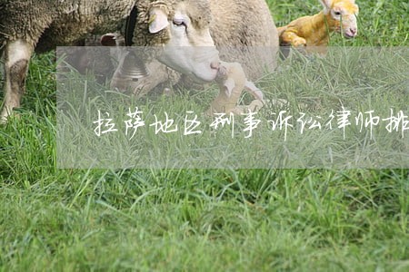 拉萨地区刑事诉讼律师排行榜 拉萨地区刑事诉讼律师排行榜
