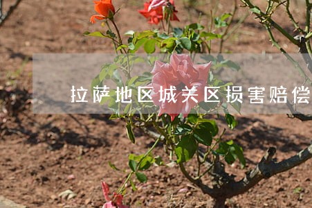 拉萨地区城关区损害赔偿律师 拉萨地区城关区损害赔偿律师
