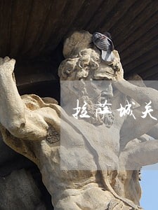 拉萨城关区法院被执行人名单 拉萨城关区法院被执行人名单