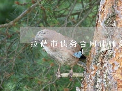拉萨市债务合同律师免费咨询 拉萨市债务合同律师免费咨询