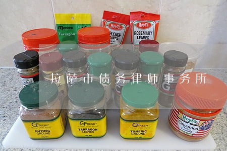 拉萨市债务律师事务所 拉萨市债务律师事务所