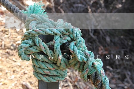 拉萨市墨竹工卡县债权债务律师 拉萨市墨竹工卡县债权债务律师