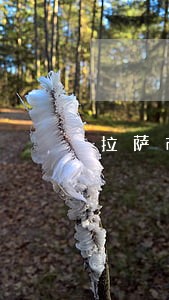 拉萨市尼木县债务律师咨询电话 拉萨市尼木县债务律师咨询电话