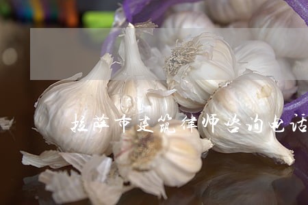 拉萨市建筑律师咨询电话 拉萨市建筑律师咨询电话