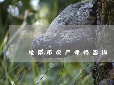 拉萨市房产律师咨询 拉萨市房产律师咨询