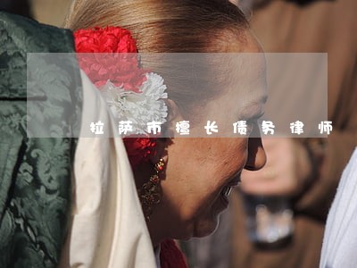 拉萨市擅长债务律师 拉萨市擅长债务律师