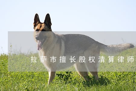 拉萨市擅长股权清算律师排行榜 拉萨市擅长股权清算律师排行榜