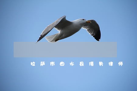 拉萨市曲水县债务律师 拉萨市曲水县债务律师