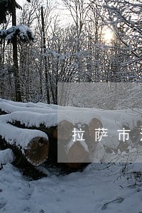 拉萨市法律援助中心司法局 拉萨市法律援助中心司法局
