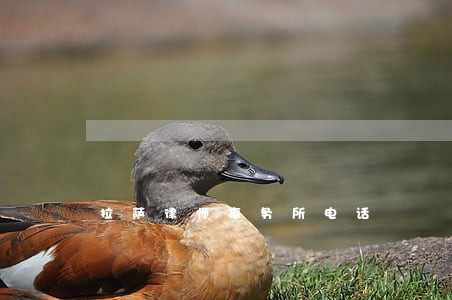拉萨律师事务所电话 拉萨律师事务所电话