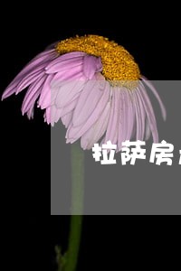 拉萨房产建筑律师哪个好 拉萨房产建筑律师哪个好