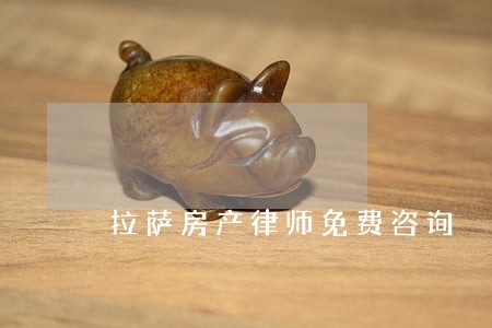 拉萨房产律师免费咨询 拉萨房产律师免费咨询