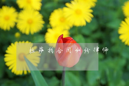 拉萨找合同纠纷律师 拉萨找合同纠纷律师